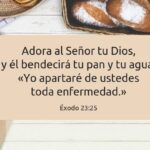 14 Versículos Bíblicos sobre Sanidad Divina - Inspiración y Fe