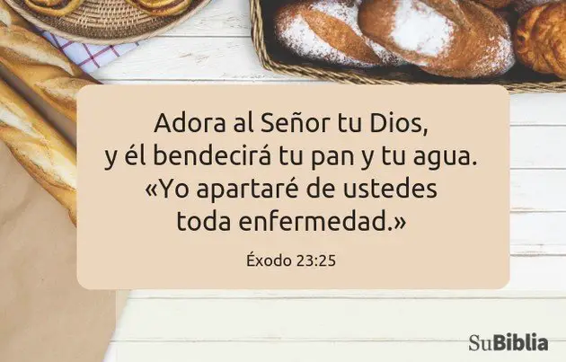 14 versiculos biblicos sobre sanidad divina inspiracion y fe