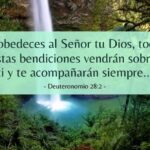 15 Beneficios de la Obediencia: Versículos que Traen Bendición