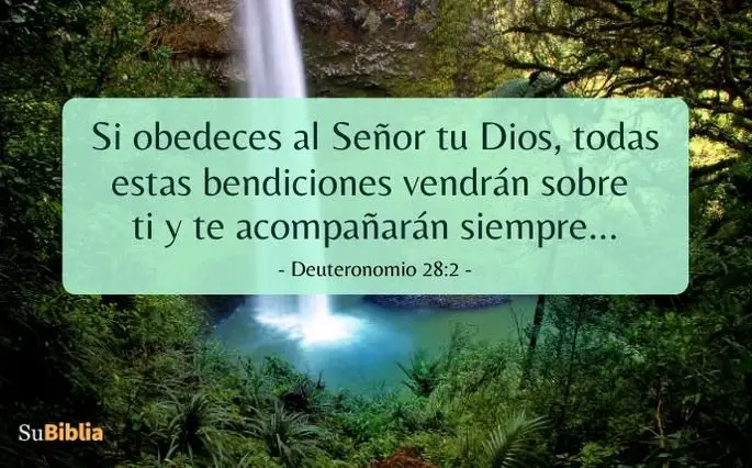 15 beneficios de la obediencia versiculos que traen bendicion