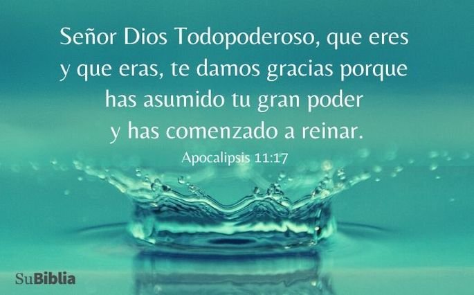 20 oraciones de agradecimiento que encontraras en la biblia