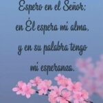 25 Frases Bíblicas para Lápidas - Inspiración y Paz Eterna