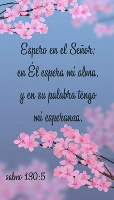 25 frases biblicas para lapidas inspiracion y paz eterna
