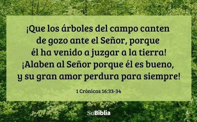 25 versiculos de agradecimiento a dios por bendiciones recibidas