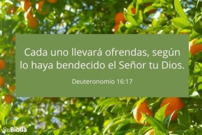 27 versiculos y palabras para la ofrenda con explicacion