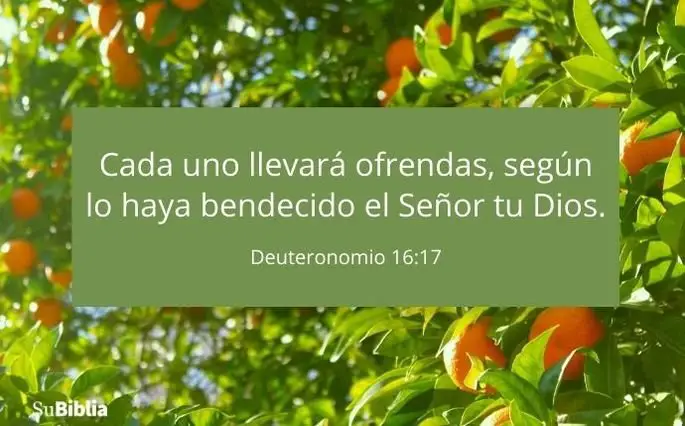 27 versiculos y palabras para la ofrenda con explicacion