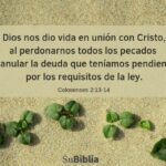 33 Versículos con Preciosas Bendiciones de Dios
