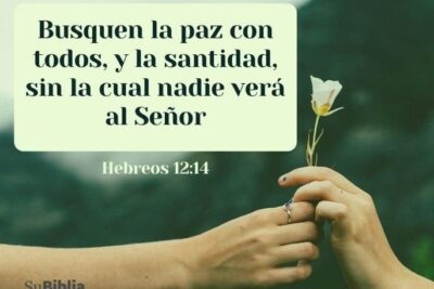 33 versiculos de santidad para vivir una vida para dios