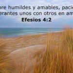 35 Versículos Bíblicos de Humildad: Dios Exalta al Humilde