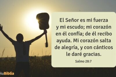 35 versiculos biblicos sobre la gratitud inspiracion y fe