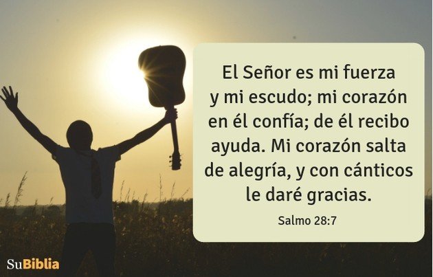 35 versiculos biblicos sobre la gratitud inspiracion y fe