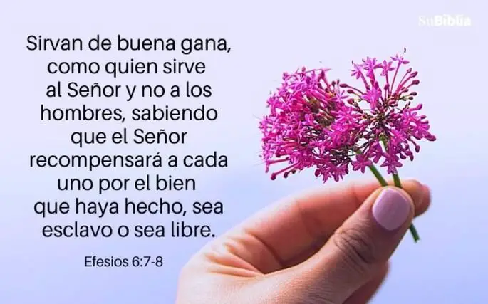 36 versiculos sobre el trabajo glorifica a dios en todo