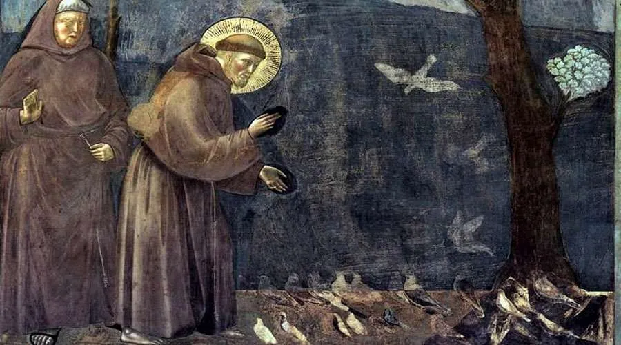 6 santos que fueron amigos de los animales historias inspiradoras