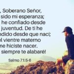 71 Versículos Bíblicos de Confianza en Dios - Inspiración y Fe