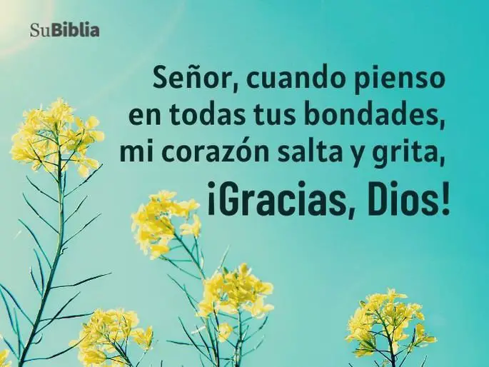 83 lindas frases de agradecimiento a dios inspirate hoy