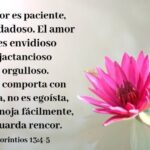 93 Versículos de Amor en la Biblia - Lindos e Inspiradores