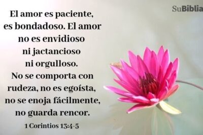 93 versiculos de amor en la biblia lindos e inspiradores