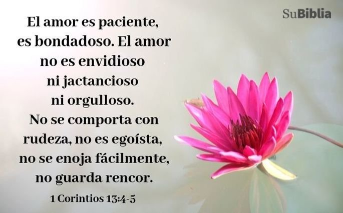 93 versiculos de amor en la biblia lindos e inspiradores