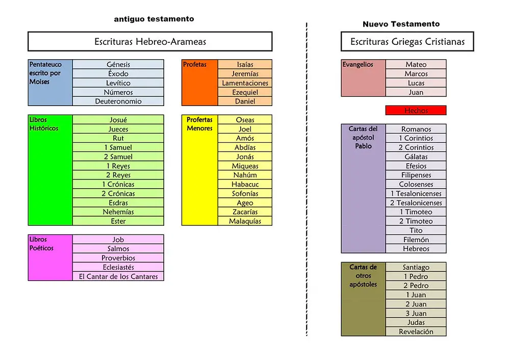 como esta dividida la biblia estructura y libros explicados