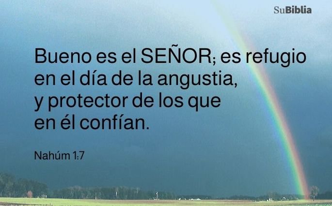 confia en dios versiculos para fortalecer tu fe en el senor