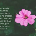 Descubre el Poder de la Gracia de Dios - Inspiración y Fe