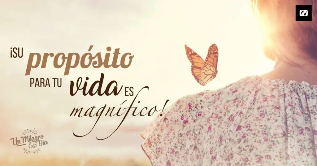 el proposito de dios en mi vida descubrelo y entiendelo