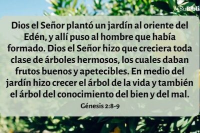 el significado del arbol de la vida en la biblia explicacion