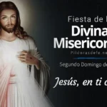Fiesta de la Divina Misericordia - Segundo Domingo de Pascua