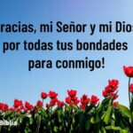Frases de Inspiración para Dar Gracias a Dios por Todo