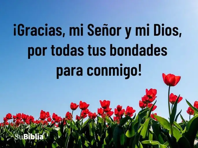 frases de inspiracion para dar gracias a dios por todo