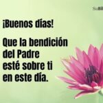 Frases y Mensajes Bíblicos de Buenos Días - Inspiración Diaria