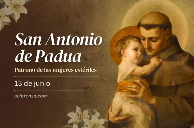hoy celebramos a san antonio de padua el santo de jesus nino