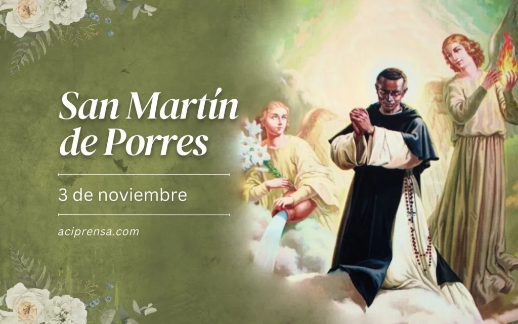 hoy celebramos a san martin de porres patrono de la paz