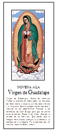 novena a la virgen de guadalupe oraciones y devocion