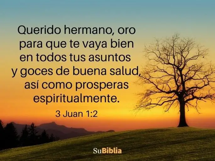 oracion por los enfermos 12 oraciones de sanacion efectivas