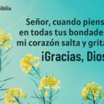 Oraciones de Agradecimiento a Dios - Ejemplos y Reflexiones