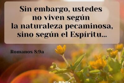 predicas para mujeres cristianas inspiracion y fe