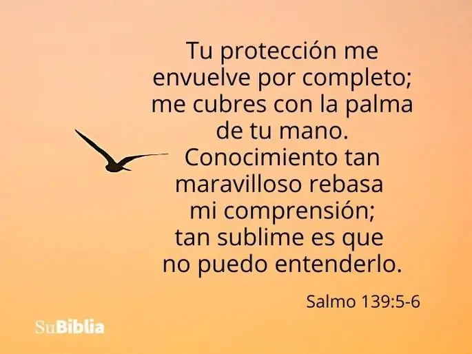 reflexion sobre el salmo 139 dios todo lo ve y sabe