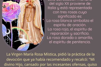 rosa mistica significado historia y devocion