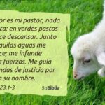 Salmo 23: Significado y Explicación - Dios te Ama y Protege