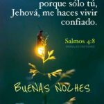 Versículos de Buenas Noches - Palabras de Paz y Bendición