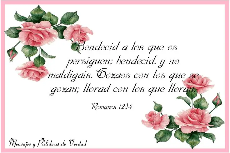 versiculos para dedicar a mama palabras de amor y fe
