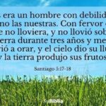 Versículos para Orar: Oraciones Poderosas en la Biblia