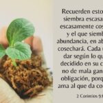Versículos sobre los Diezmos y las Ofrendas - Guía Bíblica