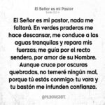 31 Versículos para Vencer la Ansiedad y el Miedo