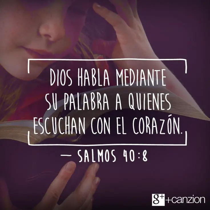 40 versiculos sobre el perdon en la biblia inspiracion y fe