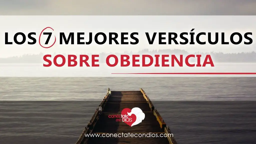 48 versiculos sobre la obediencia a dios inspiracion biblica