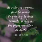 52 Versículos sobre la Misericordia de Dios - Inspiración Bíblica