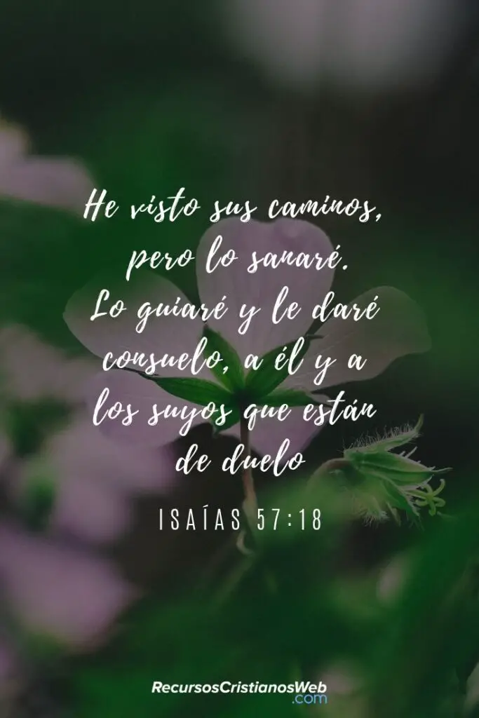 52 versiculos sobre la misericordia de dios inspiracion biblica
