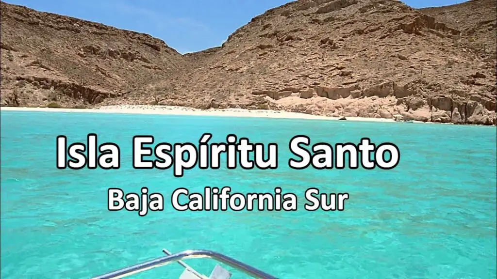 descubre como llegar a la isla espiritu santo desde la paz baja california sur